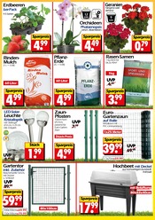 Ähnliche Angebote wie Gartentor im Prospekt "Aktuelle Angebote" auf Seite 2 von Wreesmann in Zwickau