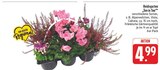 Heidegarten Ton in Ton Angebote bei E center Jena für 4,99 €