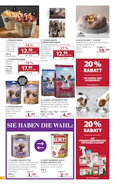 Dehner Garten-Center Hundefutter im Prospekt Dehner Garten-Center Hundefutter im Prospekt