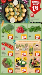 Broccoli Angebot im aktuellen REWE Prospekt auf Seite 11