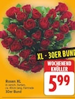 Rosen XL für 5,99 € bei EDEKA im Angebot Rosen XL im aktuellen EDEKA Prospekt