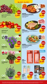 Schweinebraten im Penny Prospekt in Filderstadt Aktueller Penny Prospekt mit Schweinebraten, "Wer günstig will, muss Penny.", Seite 28