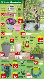 Garten im Thomas Philipps Prospekt in Erkelenz Aktueller Thomas Philipps Prospekt mit Garten, "Top Angebote", Seite 4