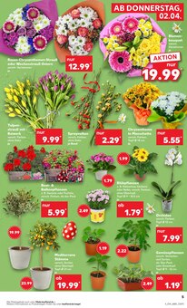 Tulpen im Kaufland Prospekt "Aktuelle Angebote" mit 54 Seiten (Saarbrücken)