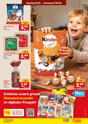 Gartentor im Netto Marken-Discount Prospekt in Speyer Aktueller Netto Marken-Discount Prospekt mit Gartentor, "Aktuelle Angebote", Seite 42