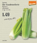 Bio-Staudensellerie bei EDEKA im Prospekt "" für 1,49 €