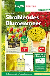 Aktueller BayWa Bau- und Gartenmärkte Baumärkte Prospekt in Güglingen und Umgebung, "Hier bin ich gern" mit 8 Seiten, 04.08.2025 - 09.08.2025
