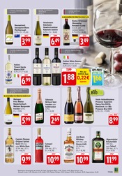 Rotwein im EDEKA Prospekt in Pirmasens Aktueller EDEKA Prospekt mit Rotwein, "Aktuelle Angebote", Seite 19