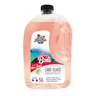 Lave-glace été Vacances à Bali ALOHA 5L - Aloha en promo chez Feu Vert Lave-glace été Vacances à Bali ALOHA 5L - Aloha dans le catalogue Feu Vert