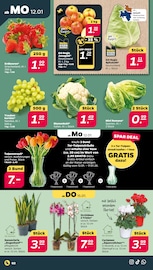 Aktueller Netto mit dem Scottie Prospekt mit Tulpen, "Günstig. Besser. Für Dich.", Seite 2