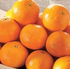 Promo Clementine à 2,49 € dans le catalogue Intermarché à Beaulieu-sur-Dordogne