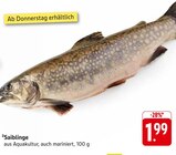 Saiblinge im Angebot bei E center in Sindelfingen Saiblinge Angebote bei E center Sindelfingen für 1,99 €
