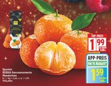 Genussmomente Mandarinen von EDEKA im aktuellen EDEKA Prospekt