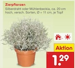 Silberdraht im Angebot bei Netto Marken-Discount in Buchholz Silberdraht Angebote bei Netto Marken-Discount Buchholz für 1,29 €