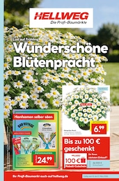 Hellweg Prospekt für Münster: "Wunderschne Blütenpracht", 16 Seiten, 16.03.2026 - 21.03.2026