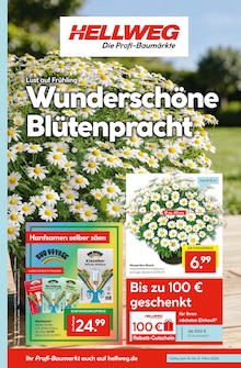 Hellweg Schwielowsee Prospekt der aktuellen Woche, gültig von 16.03.2026 bis 21.03.2026 Aktueller Hellweg Schwielowsee Prospekt "Wunderschne Blütenpracht" mit 16 Seiten