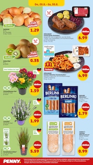 Chrysantheme im Penny Prospekt "Wer günstig will, muss Penny." mit 34 Seiten (Bochum)