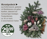 Wurzelgesteck im V-Markt Prospekt Wurzelgesteck von im aktuellen V-Markt Prospekt für 29,99 €