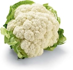 Netto Marken-Discount - Blumenkohl Angebot im Prospekt Blumenkohl bei Netto Marken-Discount im Prospekt "" für 0,99 €