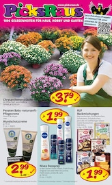 Nivea im Picks-Raus Prospekt in Rottenburg Aktueller Picks-Raus Prospekt mit Nivea, "1000 GELEGENHEITEN FÜR HAUS, HOBBY UND GARTEN", Seite 1