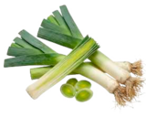 Porree bei EDEKA im Witzwort Prospekt für 0,79 €