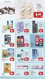 Aktueller famila Nordwest Prospekt mit Felix Katzenfutter, "Markt - Angebote", Seite 31