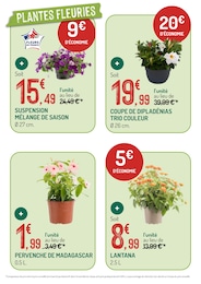 Prix et réduction Fleurs dans le prospectus Botanic en cours Offre Fleurs dans le catalogue Botanic du moment à la page 2