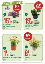 Promos Bricolage dans le catalogue "LES OFFRES DU MOMENT À NE PAS MANQUER" de Botanic Bricolage en promo dans le catalogue Botanic à la page 2
