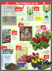 Blumenerde im Bauzentrum Reinholdshain Prospekt in Freital Aktueller Bauzentrum Reinholdshain Prospekt mit Blumenerde, "REGIONAL.KOMPETENT.ZUVERLÄSSIG.", Seite 2