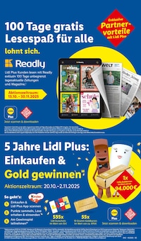 Blaubeeren Angebot im Lidl Prospekt, gültig von 27.10.2025 bis 01.11.2025 Blaubeeren Angebot im aktuellen Lidl Prospekt auf Seite 67