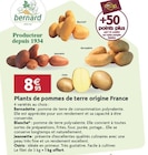 Promo Plants de pommes de terre origine France à 8,95 € dans le catalogue LaMaison.fr à La Guerche-de-Bretagne