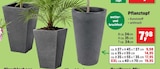 Aktuelles Pflanztopf Angebot bei Thomas Philipps in Karlsruhe ab 7,98 €
