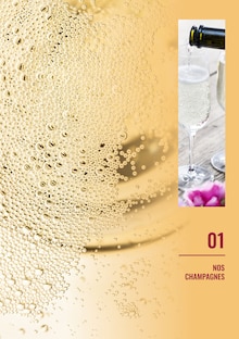 Prospectus Nicolas de la semaine "Foire aux champagnes chez Nicolas" avec 2 pages, valide du 15/05/2024 au 04/06/2024 pour Paris et alentours