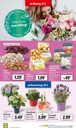 Heimwerken Angebot & Preis im aktuellen Lidl Prospekt Heimwerken Angebot im aktuellen Lidl Prospekt auf Seite 4