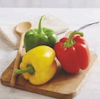 Poivron tricolore - U en promo chez Super U Poivron tricolore - U dans le catalogue Super U