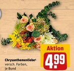 Chrysanthemenliebe Angebote bei REWE Dorsten für 4,99 €