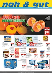 nah und gut Supermarkt Prospekt der aktuellen Woche mit 4 Seiten, gültig von 10.11.2025 bis 15.11.2025, in Burglauer und Umgebung Aktueller nah und gut Supermarkt Prospekt in Burglauer und Umgebung, "Wir lieben Lebensmittel!" mit 4 Seiten, 10.11.2025 - 15.11.2025