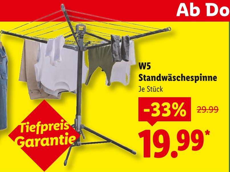 Standwäschespinne