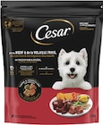 Hund Multipack oder Trockenfutter von Cesar im aktuellen Rossmann Prospekt für 4,99 €