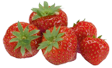 Erdbeeren im EDEKA Prospekt Erdbeeren von Bio im aktuellen EDEKA Prospekt für 3,99 €