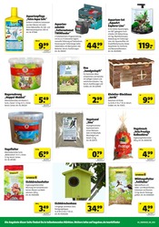 Aktueller Hagebaumarkt Prospekt mit Aquarium, "BLACK WEEK SALE", Seite 12