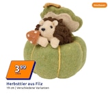Herbsttier aus Filz im Angebot bei Action in Kiel Herbsttier aus Filz Angebote bei Action Kiel für 3,99 €