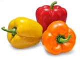 Aktuelles Dtsch. Paprika Angebot bei Kaufland in Koblenz ab 2,49 €