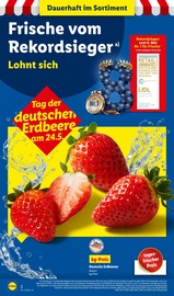 Erdbeeren im Lidl Prospekt in Ludwigshafen Aktueller Lidl Prospekt mit Erdbeeren, "LIDL LOHNT SICH", Seite 2