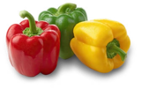 Aktuelles Span./niederl. Paprika-Mix Angebot bei Kaufland in Remscheid ab 0,99 €