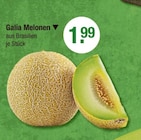 Galia Melonen von  im aktuellen V-Markt Prospekt für 1,99 €