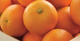 Orange à dessert et/ou à jus à Intermarché Contact dans Ormes