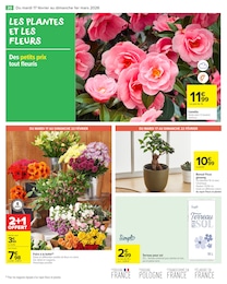 Offre Sole dans le catalogue Carrefour Market du moment à la page 22