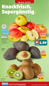 Kiwi im Penny Prospekt "Wer günstig will, muss Penny." mit 40 Seiten (München)