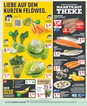 Lachs im Marktkauf Prospekt in Recklinghausen Aktueller Marktkauf Prospekt mit Lachs, "Aktuelle Angebote", Seite 3